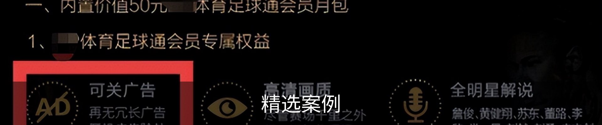 精选案例